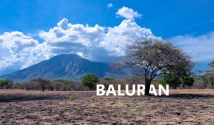 Taman Nasional Baluran Banyuwangi