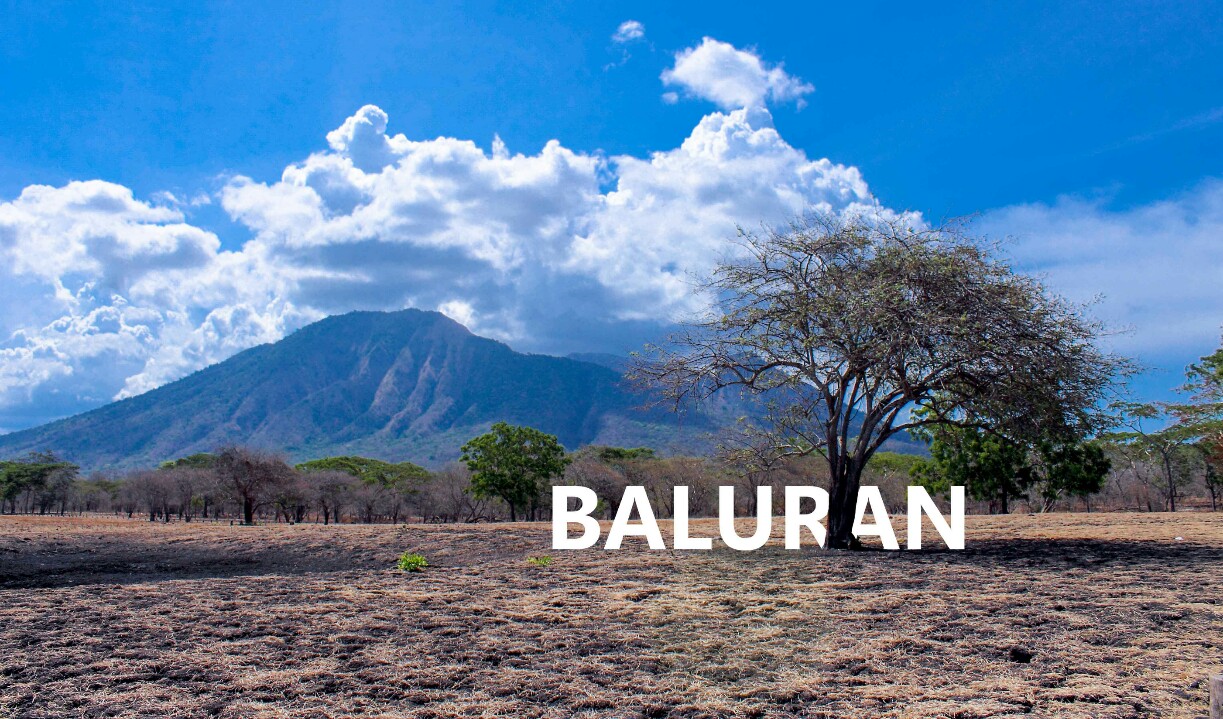 Taman Nasional Baluran Banyuwangi