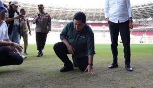 Rumput GBK BLACKPINK