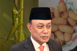 Serangga makan gratis